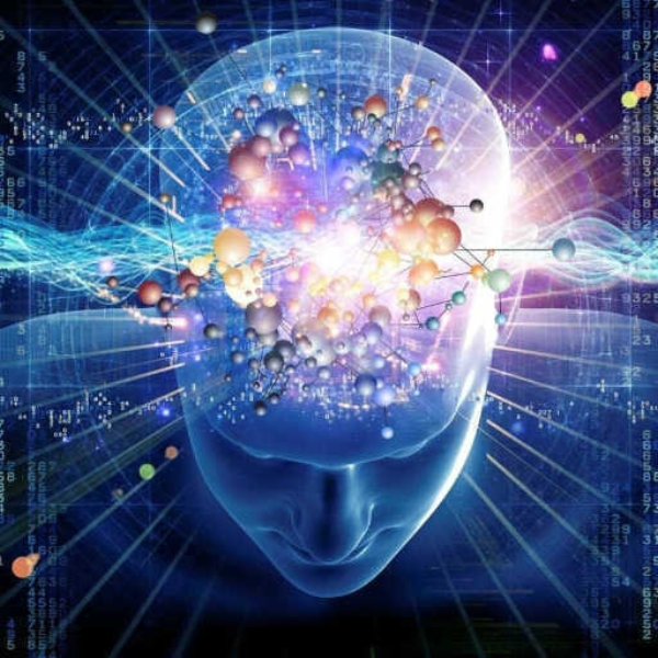 Intelligence