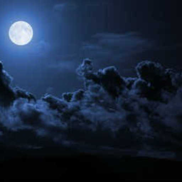 Into The Midnight