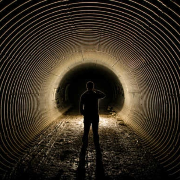 Into The Shadows