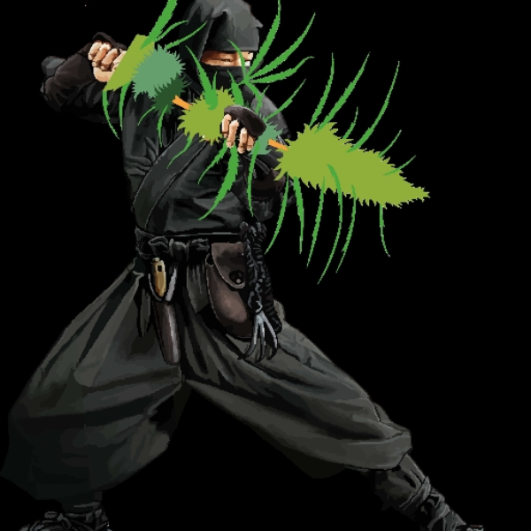 Intro canal Ninja Solutions