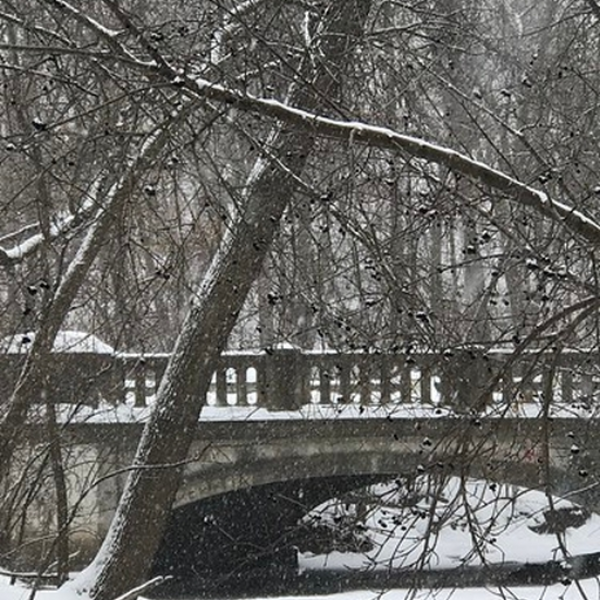 Wintertide