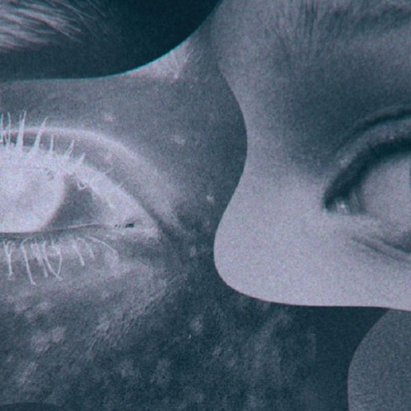 untitled.1