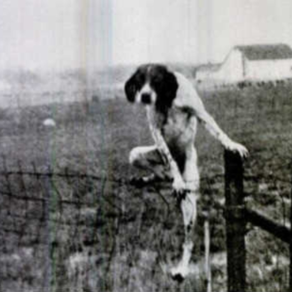 Irredeemable mistake