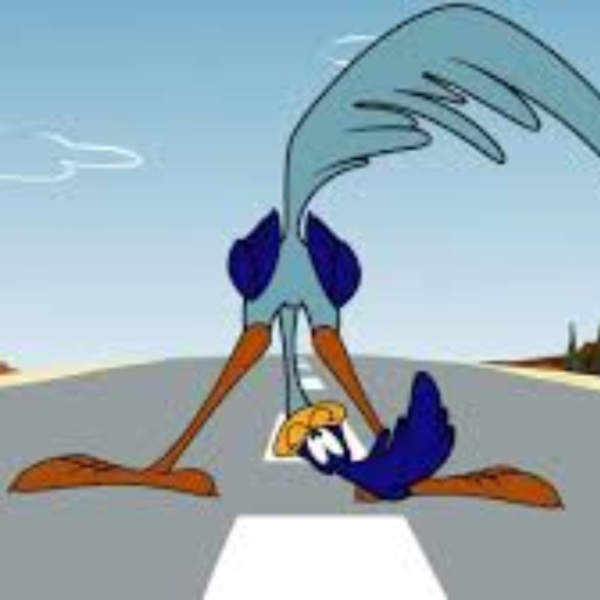 Road Runner