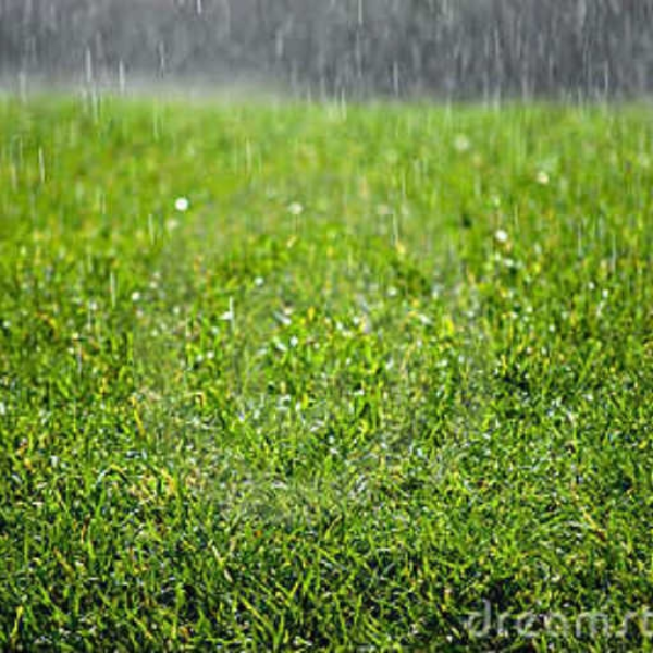 It's Raining Childhood