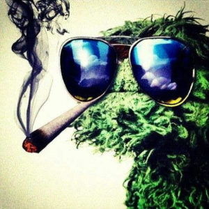 Its friday