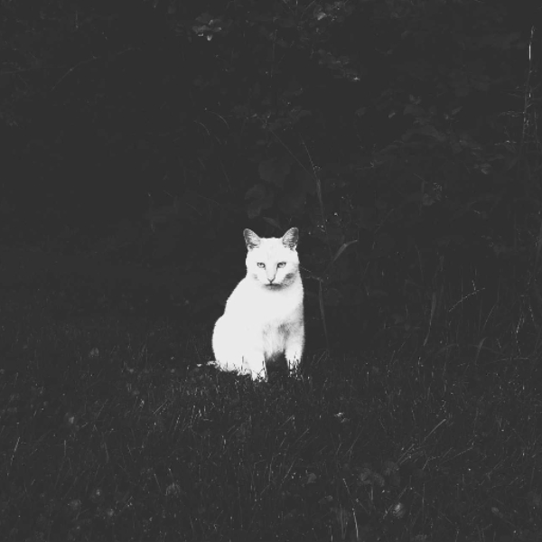 ItsAGhost