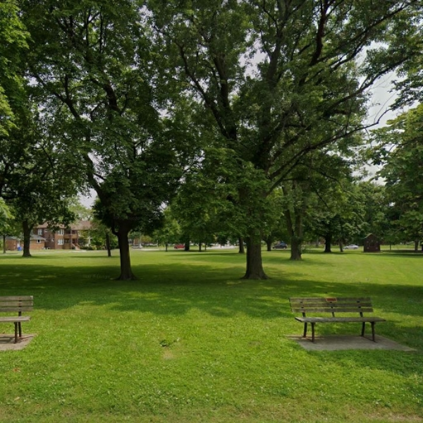 Walk in the park