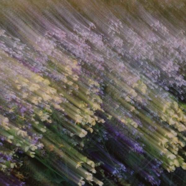 soliloquy of the taut mind(s)
