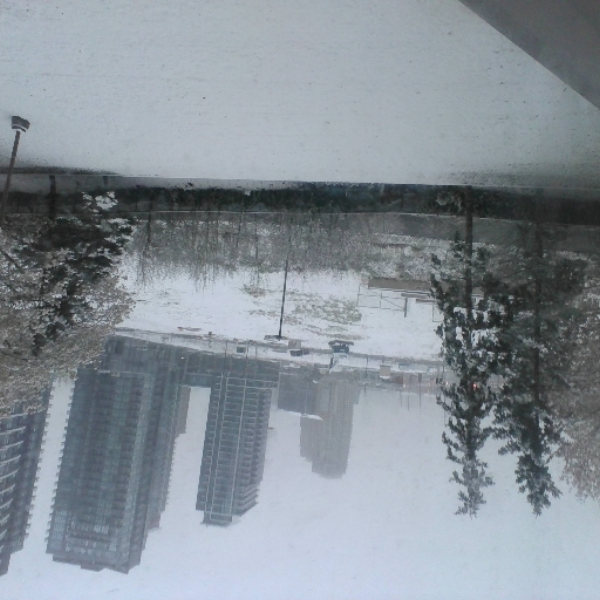 snowy