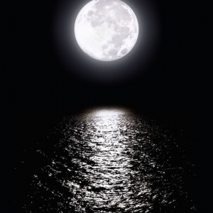 Moonlit