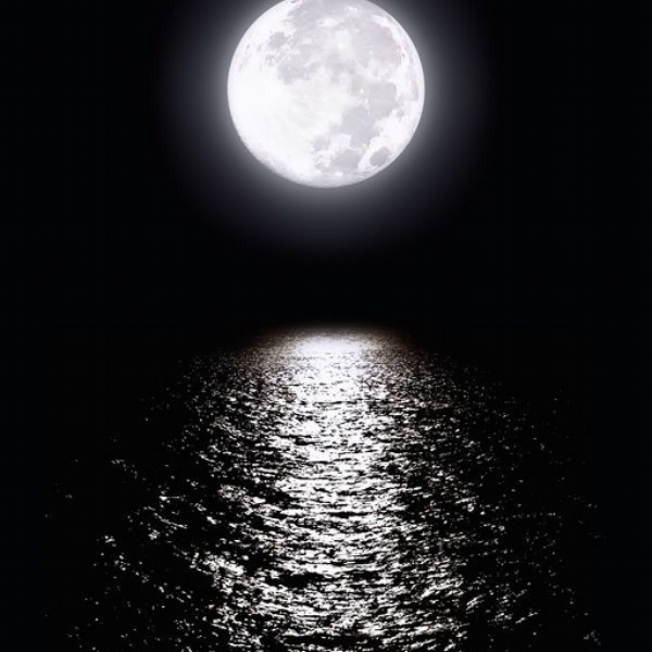 Moonlit