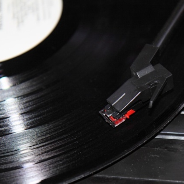 The Vinyl