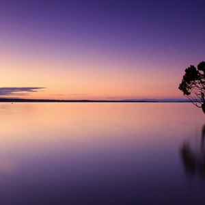 Mystical Peace [Audiotool Day 2022 Entry]