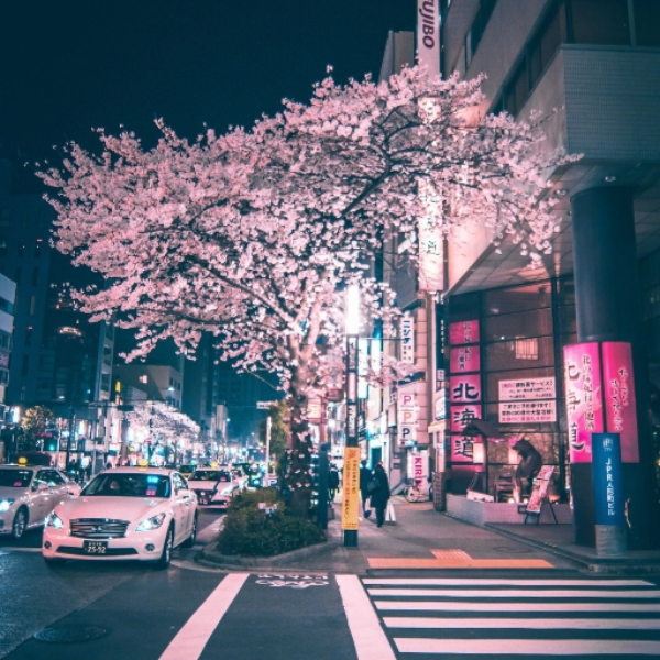 Japanese Style Type Beat