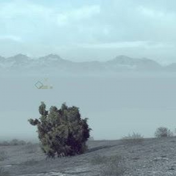 decon_cycle1