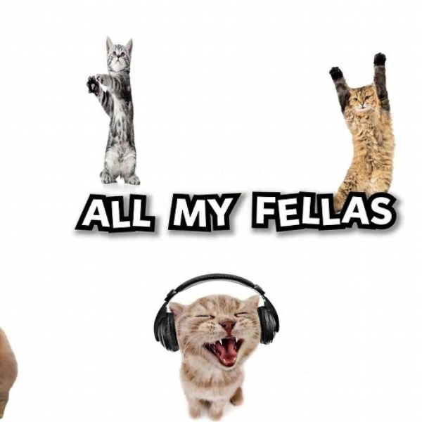 ALL MY FELLAS