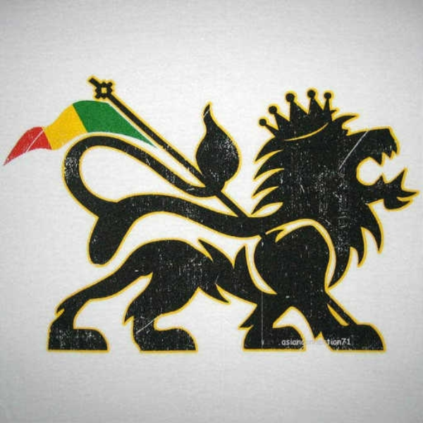 Jungle dancehall (Reggaeton beat)