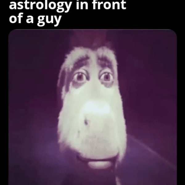 pov: when they take the joke seriously