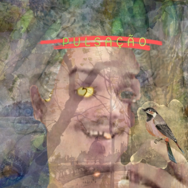 Liquidificador Estragado