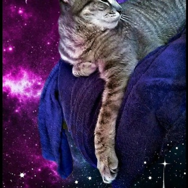 trance