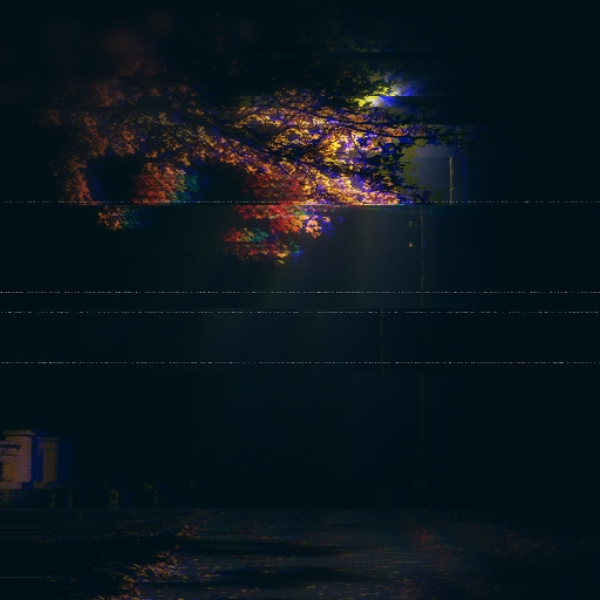 Searching