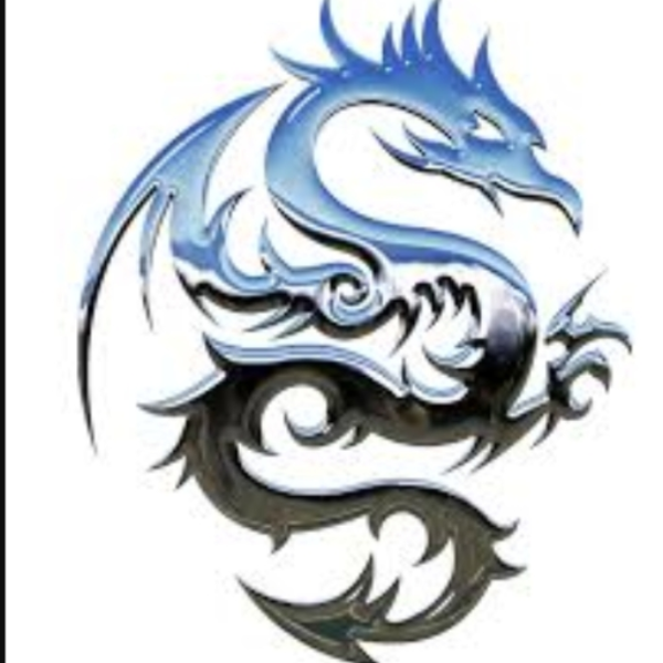 dragon soul