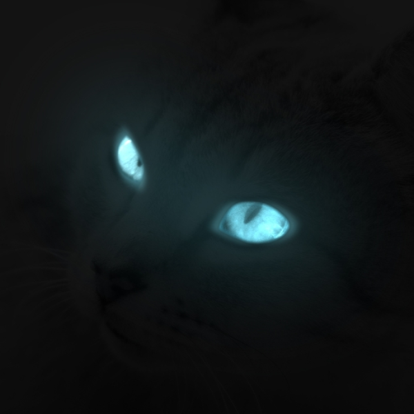 Luminous