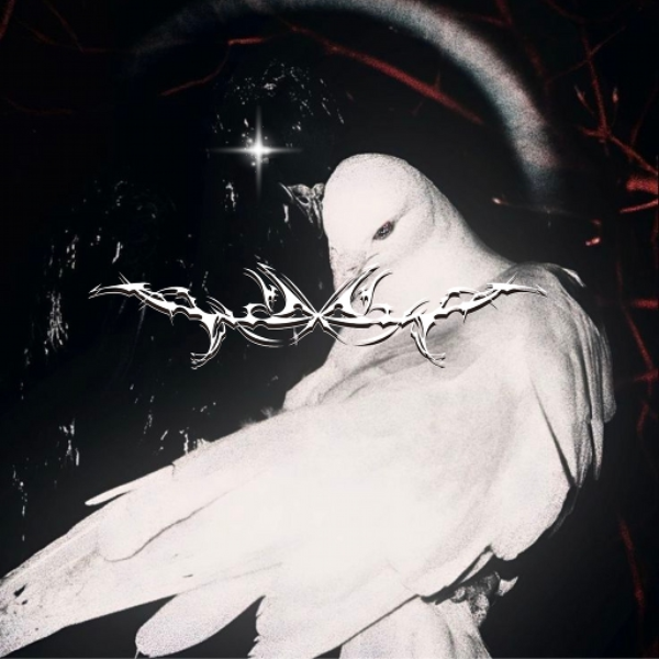 -VIII-