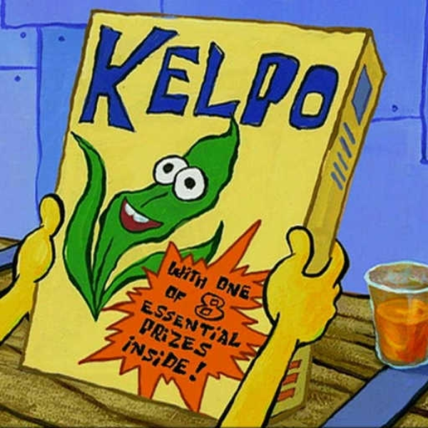 // k e l p o //