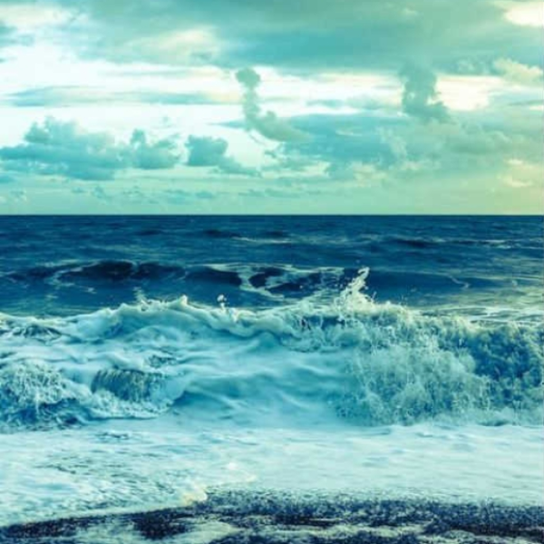 Waves