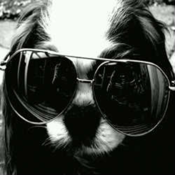Karma-Dog!:)