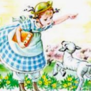 Mary had a little lamb (REMIX COMP)