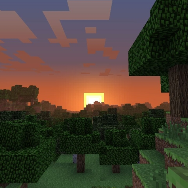 A Tribute to Minecraft.