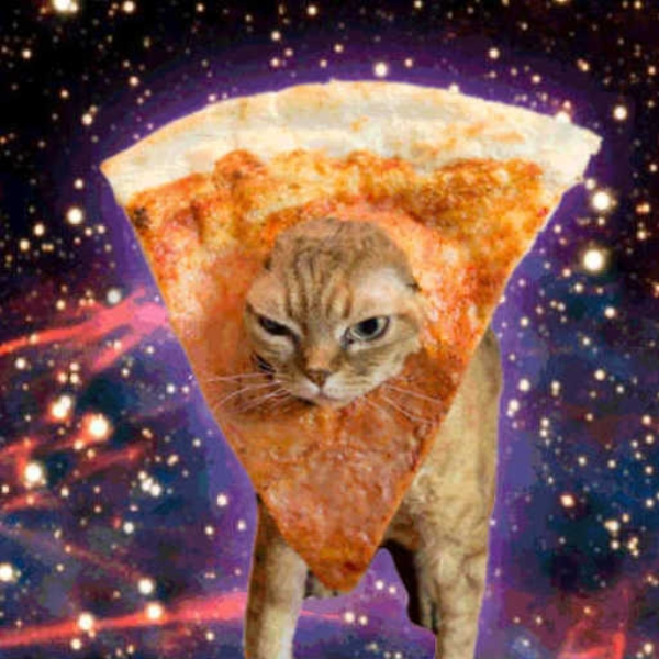 kik kittyacid