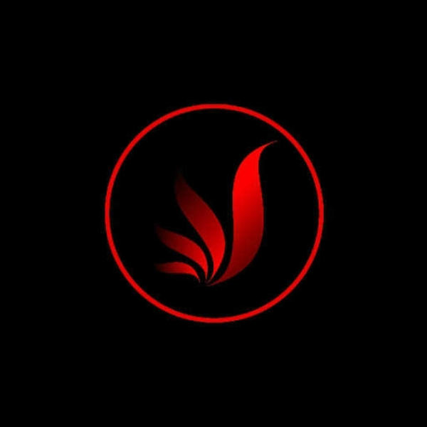 kite (The Phoenix Edit)
