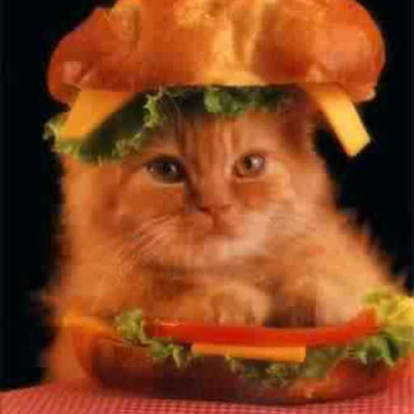 KITTYBURGER