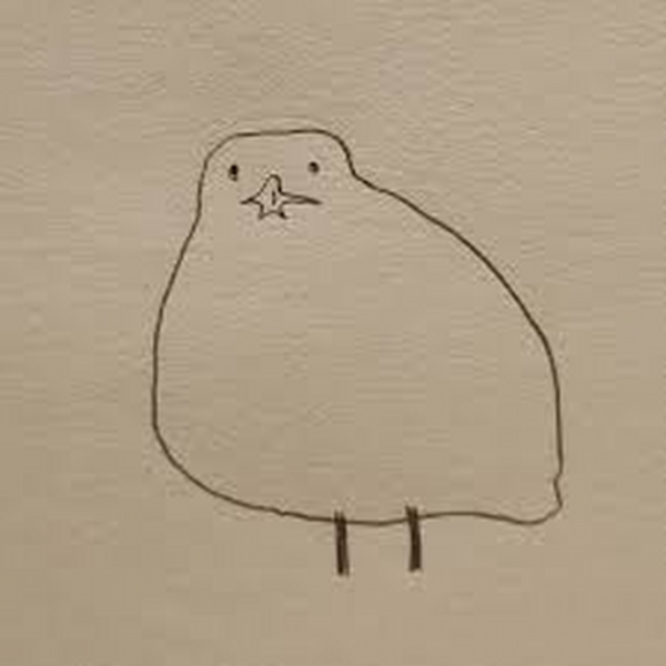 bird tweet