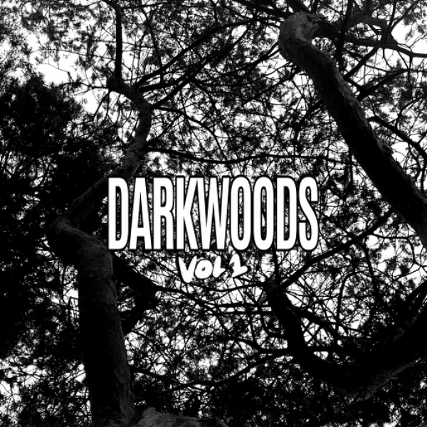 DARKWOODS VOL. 1