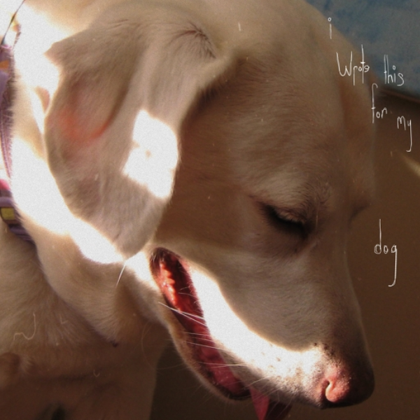 i wrote this for my dog (+200)