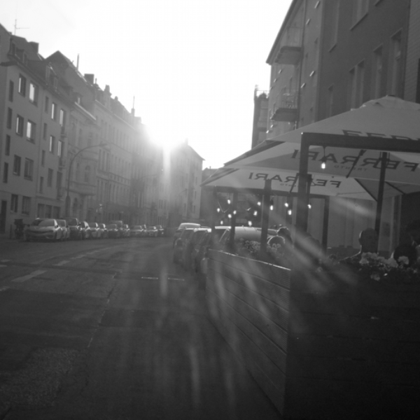 soft rays