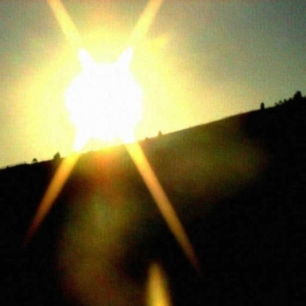 Sunlight