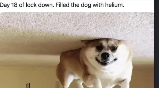 i don't know