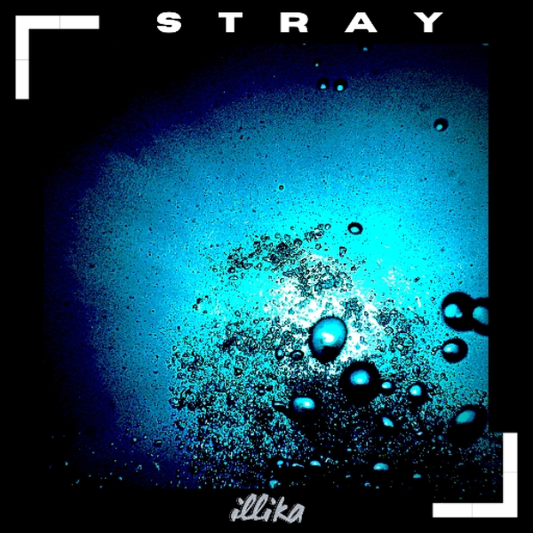 Stray