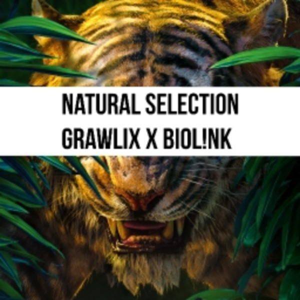 Grawlix x Biol!nk - Natural Selection (Eyoxx Edit)