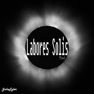 Labores Solis