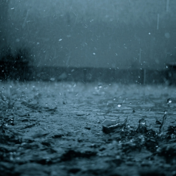 Rainy Day...