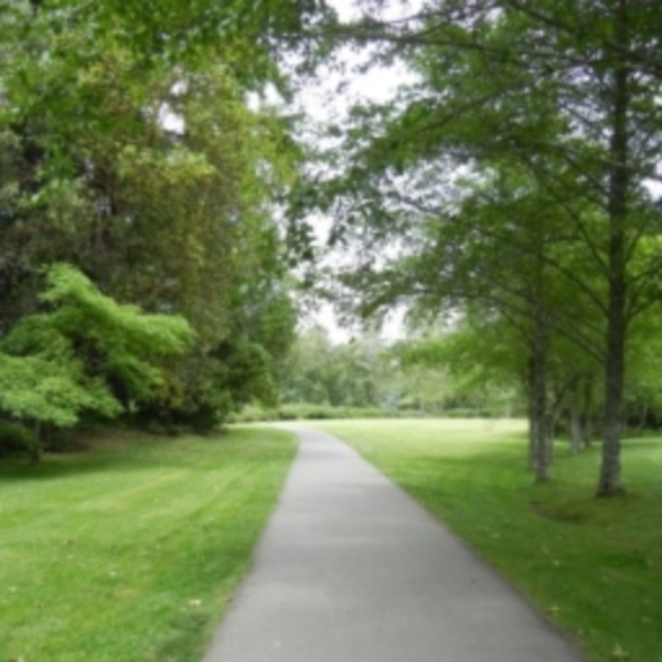 A Walk in the Park