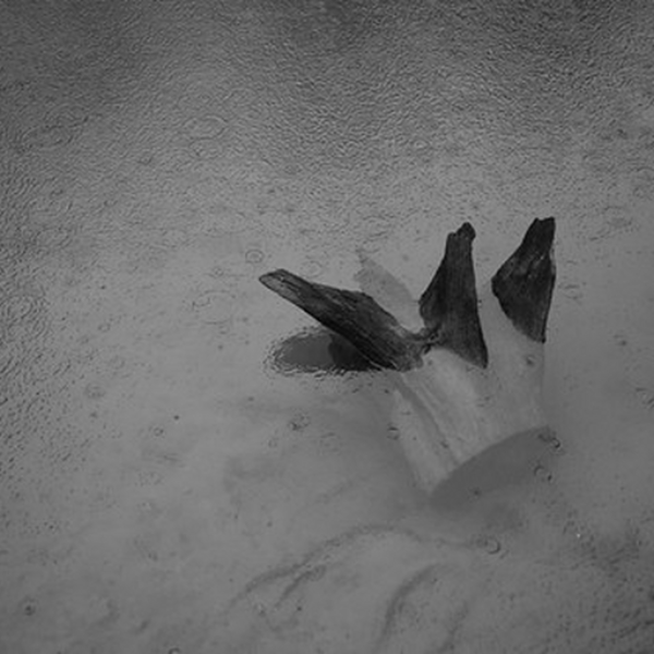 under the surface