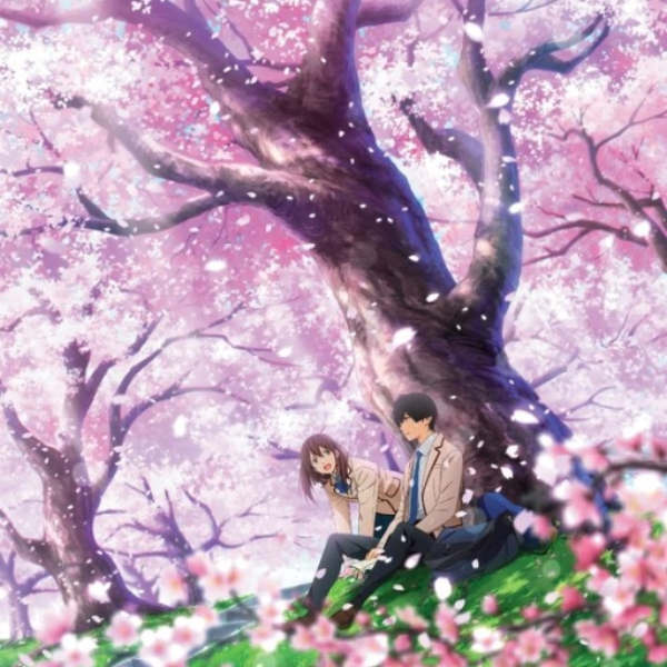 The blossom you make me feel